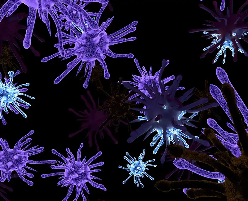 Germs